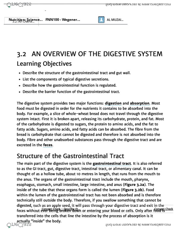 FNN 100 Chapter Notes - Chapter 3.2: Antigen, Gastrin, Carboxypeptidase thumbnail