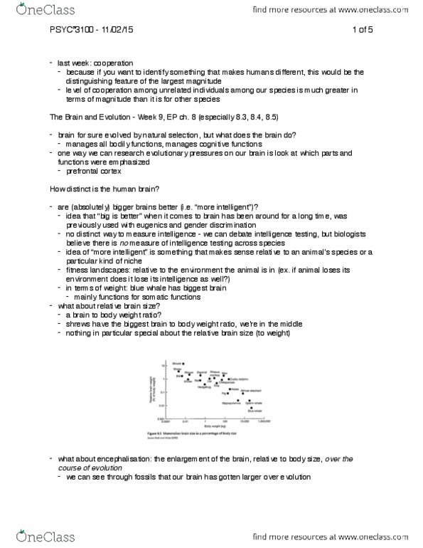 PSYC 3100 Lecture Notes - Lecture 21: Orbitofrontal Cortex, Grey Matter, Hominidae thumbnail