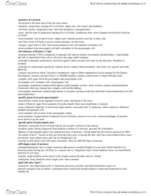 PSYC BC 1119y Lecture Notes - Lecture 5: Oligodendrocyte, Autoreceptor, Inhibitory Postsynaptic Potential thumbnail