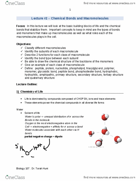 BIOL107 Lecture Notes - Lecture 2: Hydrolysis, Ionic Bonding, Hydrogen Bond thumbnail