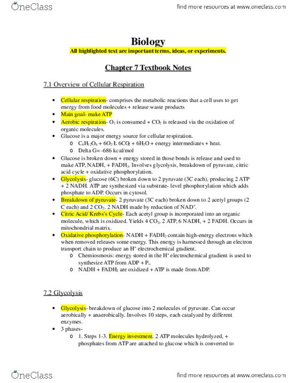 BIO 1070 Chapter Notes - Chapter 7: Glyceraldehyde, Electrochemical Gradient, Acetyl Group thumbnail