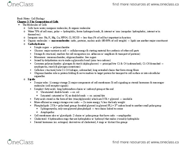 CAS BI 203 Chapter Notes - Chapter 2-4,13: Genetic Marker, Messenger Rna, Thiol thumbnail