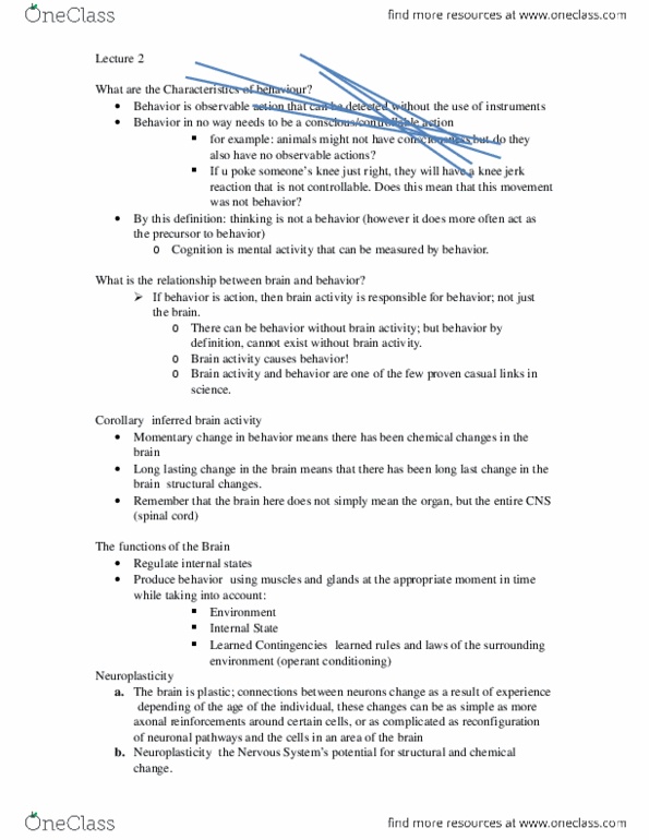 PSYC 351D Lecture Notes - Lecture 1: Brainstem, Motor Cortex, Frontal Lobe thumbnail