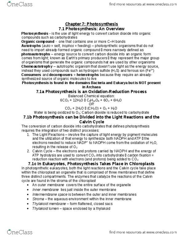 BIOL 1000 Chapter Notes - Chapter 7: Photosystem I, Coenzyme Q10, Sucrose thumbnail