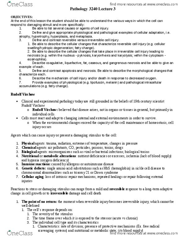 Pathology 3240A Lecture Notes - Lecture 3: Respiratory Epithelium, Weight Training, Neoplasm thumbnail