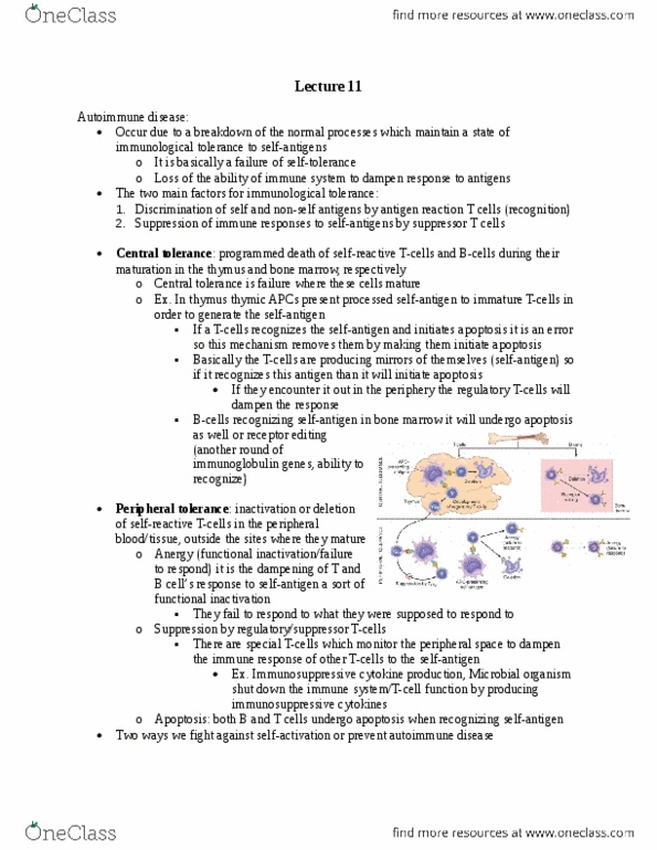 Pathology 3240A Lecture Notes - Lecture 22: Bronchitis, Hypothyroidism, Stem Cell thumbnail