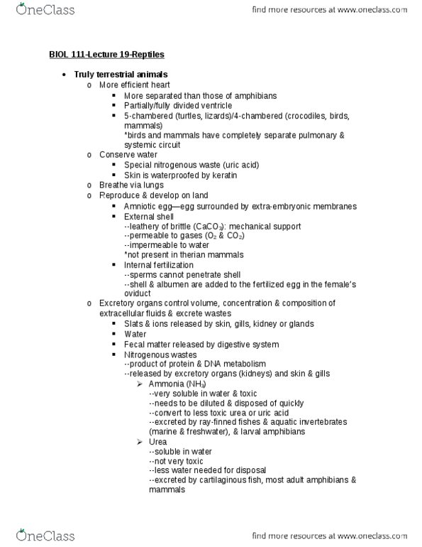 BIOL 111 Lecture Notes - Lecture 19: Internal Fertilization, Circulatory System, Keratin thumbnail