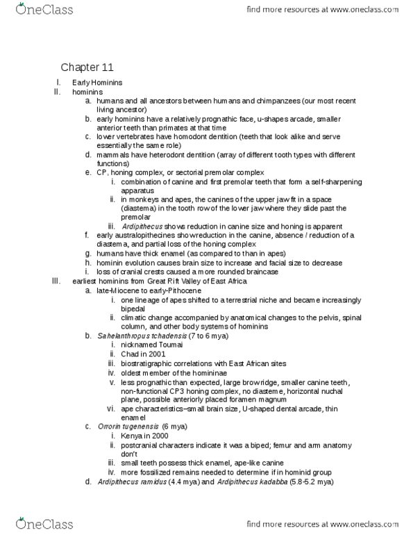 ANTH-UA 2 Chapter Notes - Chapter 11: Stone Tool, Temporal Bone, Taung Child thumbnail