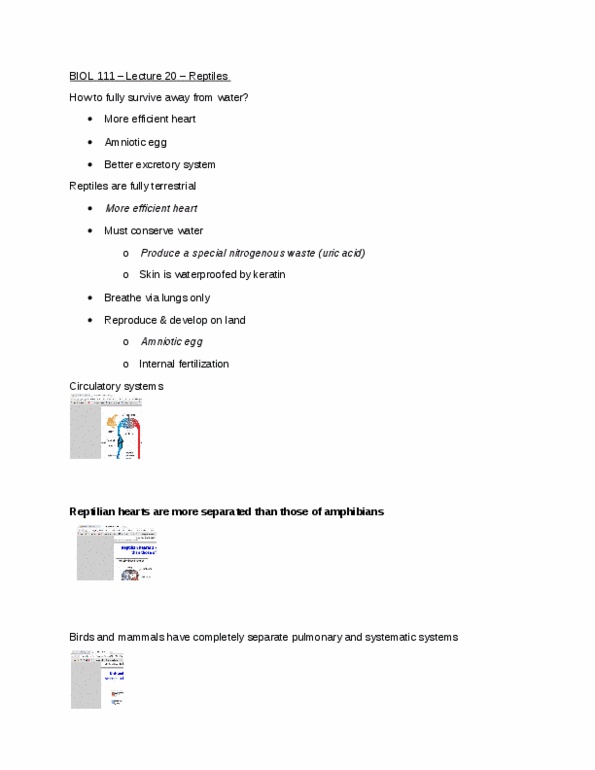 BIOL 111 Lecture Notes - Lecture 20: Vomeronasal Organ, Reabsorption, Control Volume thumbnail