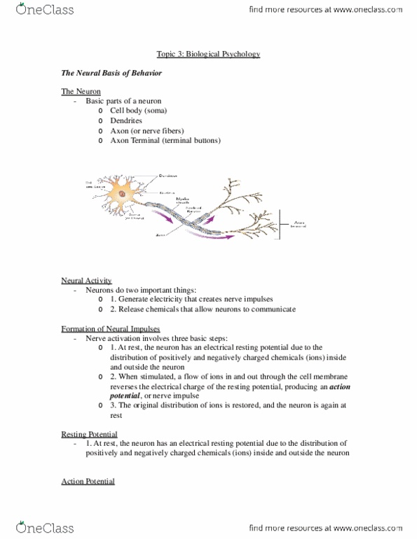 PSYCO104 Lecture Notes - Lecture 3: Cardiac Muscle, Neurotransmitter, Peripheral Nervous System thumbnail