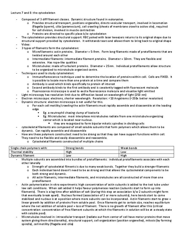 BIO130H1 Lecture 7: Lecture 7 and 8.docx thumbnail