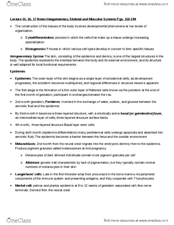 BIO380H5 Lecture 15: Lecture 15-17 Notes thumbnail