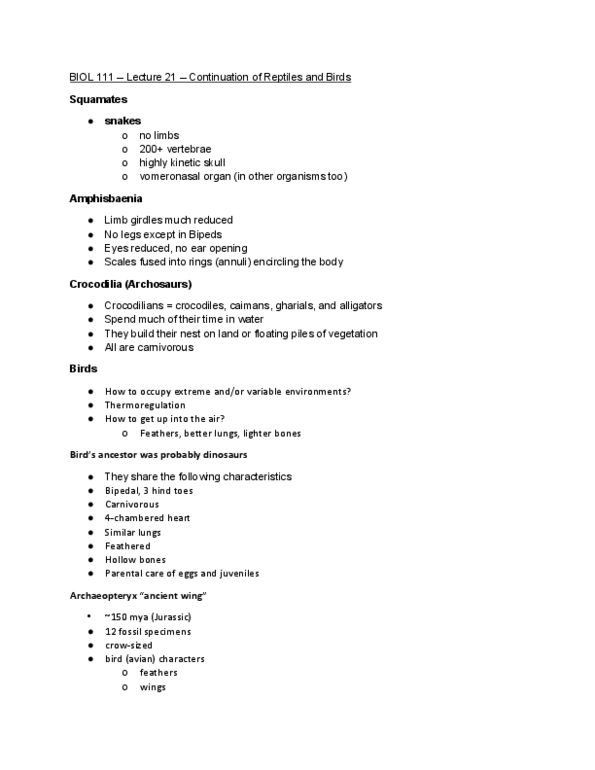 BIOL 111 Lecture Notes - Lecture 21: Amphisbaenia, Squamata, Archaeopteryx thumbnail