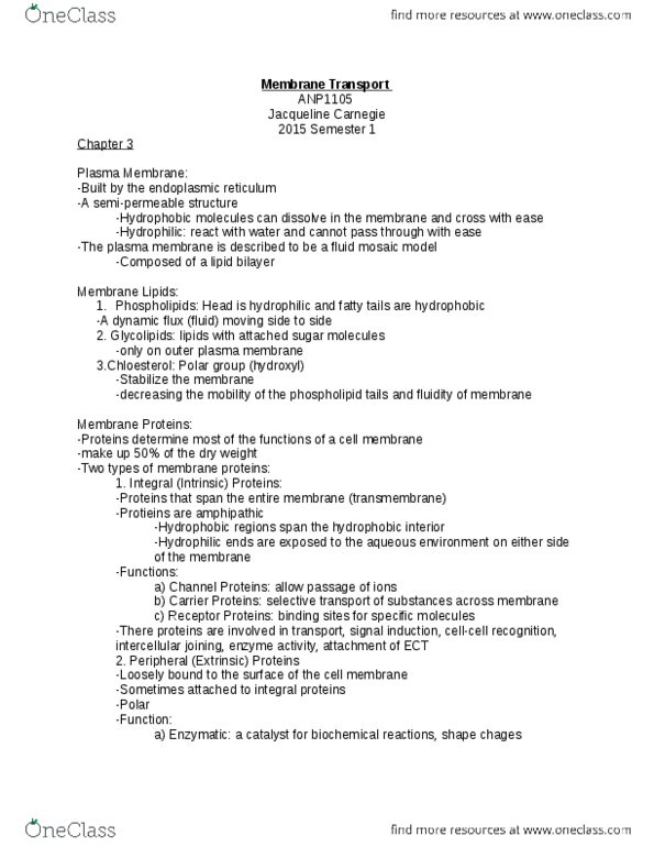 ANP 1105 Lecture Notes - Lecture 3: Semipermeable Membrane, Lipid Bilayer, Glycolipid thumbnail