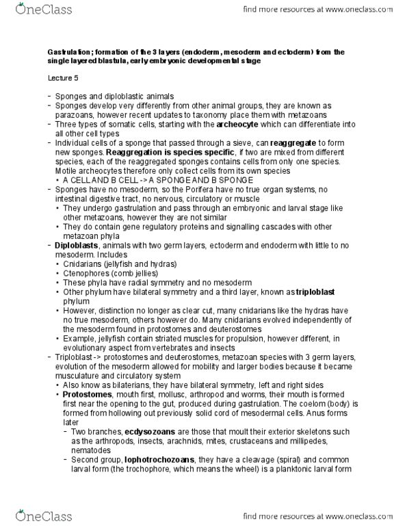 BIOL303 Chapter Notes - Chapter 5: Human Embryogenesis, Blastomere, Ctenophora thumbnail