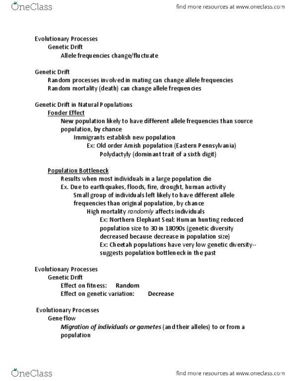 BIO 281 Lecture Notes - Lecture 11: Northern Elephant Seal, Population Bottleneck, Allele Frequency thumbnail