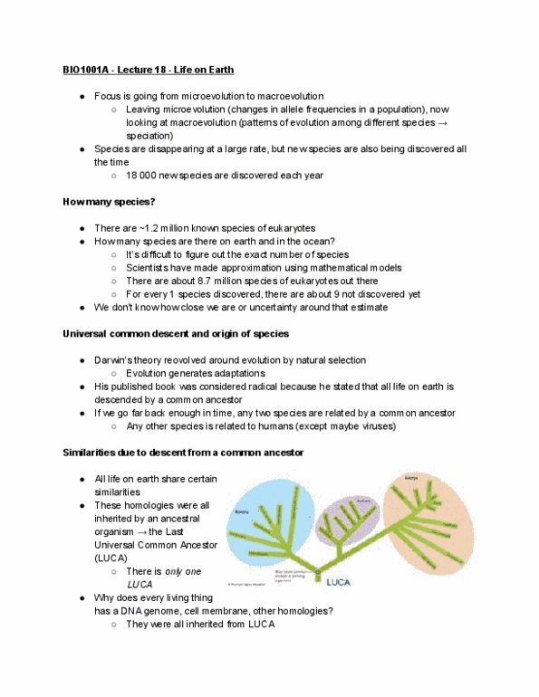 Biology 1001A Lecture Notes - Lecture 18: Last Universal Common Ancestor, Macroevolution, Microevolution thumbnail