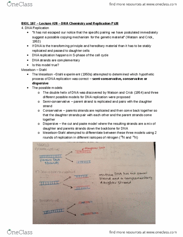 BIOL107 Lecture Notes - Lecture 28: Dna Replication, Semiconservative Replication, Prokaryote thumbnail