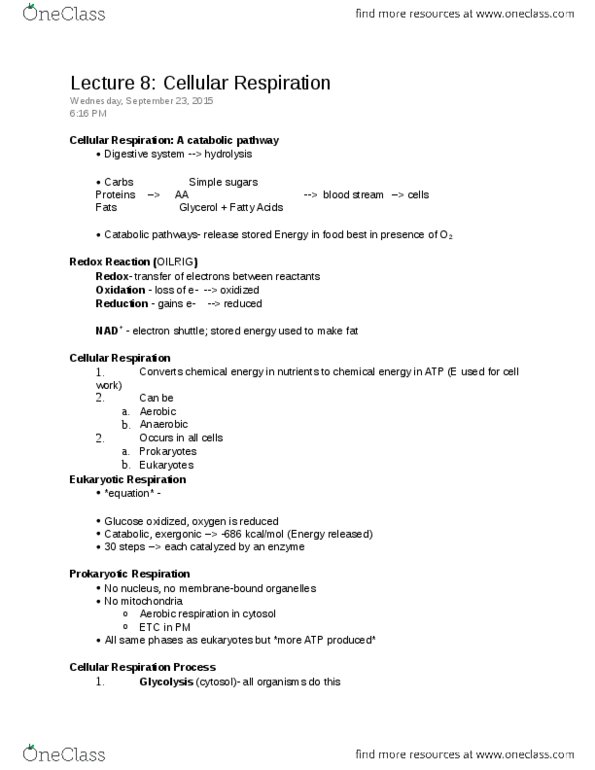 01:119:115 Lecture Notes - Lecture 8: Catabolism, Glycerol, Hydrolysis thumbnail