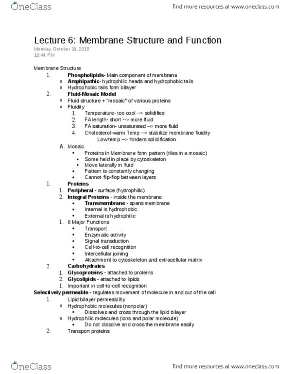 01:119:115 Lecture Notes - Lecture 6: Cytoskeleton, Hydrophile, Signal Transduction thumbnail