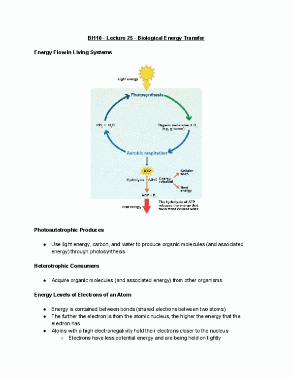 BI110 Lecture Notes - Lecture 25: Atomic Nucleus, Phototroph, Radiant Energy thumbnail