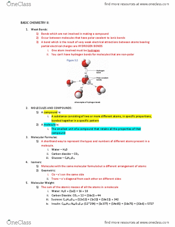 BIOL 1201 Lecture Notes - Lecture 7: Chemical Formula, Sucrose, Insulin thumbnail