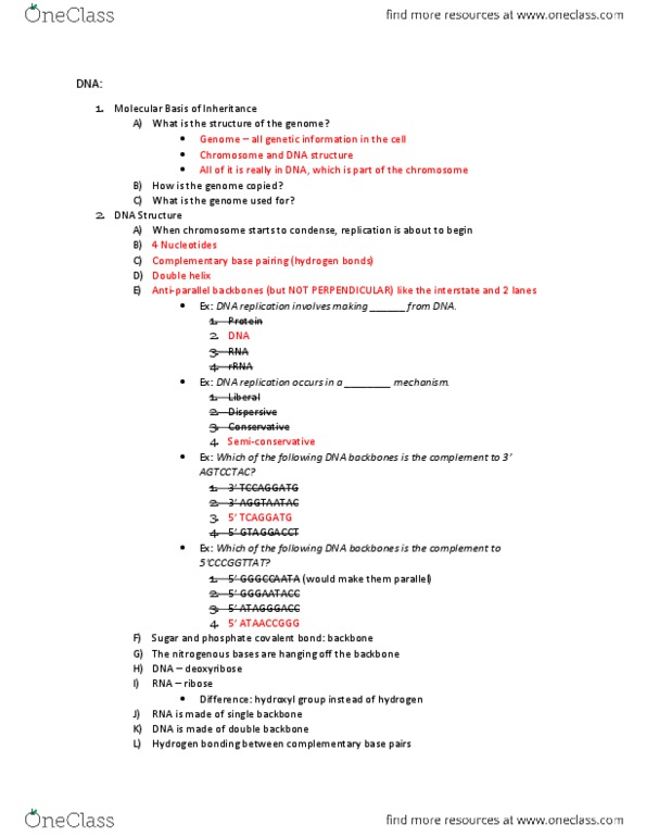 BIOL 1201 Lecture 8: DNA Notes - pdf thumbnail