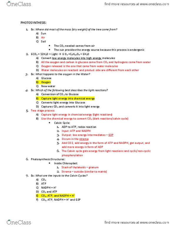 BIOL 1201 Lecture Notes - Lecture 3: Light-Dependent Reactions, Endergonic Reaction, Photosynthesis thumbnail