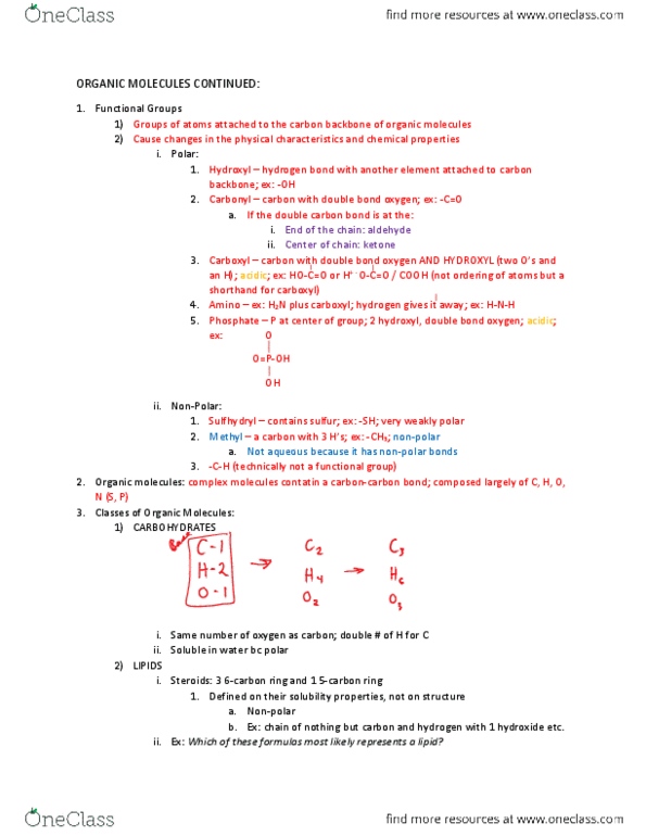 BIOL 1201 Lecture Notes - Lecture 2: Aldehyde, Ketone, Nitrogenous Base thumbnail