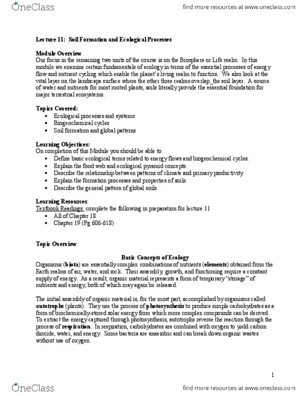 GEOG 111 Lecture Notes - Lecture 11: Biogeochemical Cycle, Ecological Pyramid, Primary Production thumbnail