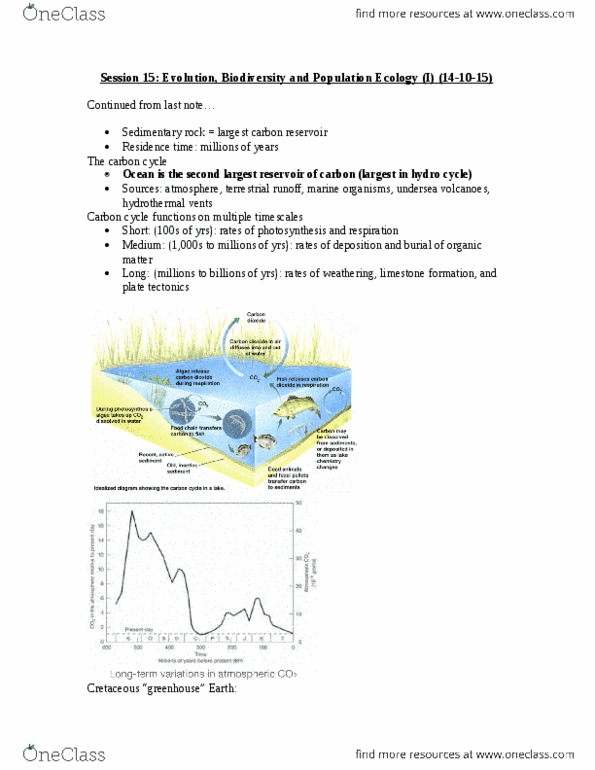 ENV100Y5 Lecture Notes - Lecture 15: Food Chain, Subduction, Nitrogen Cycle thumbnail