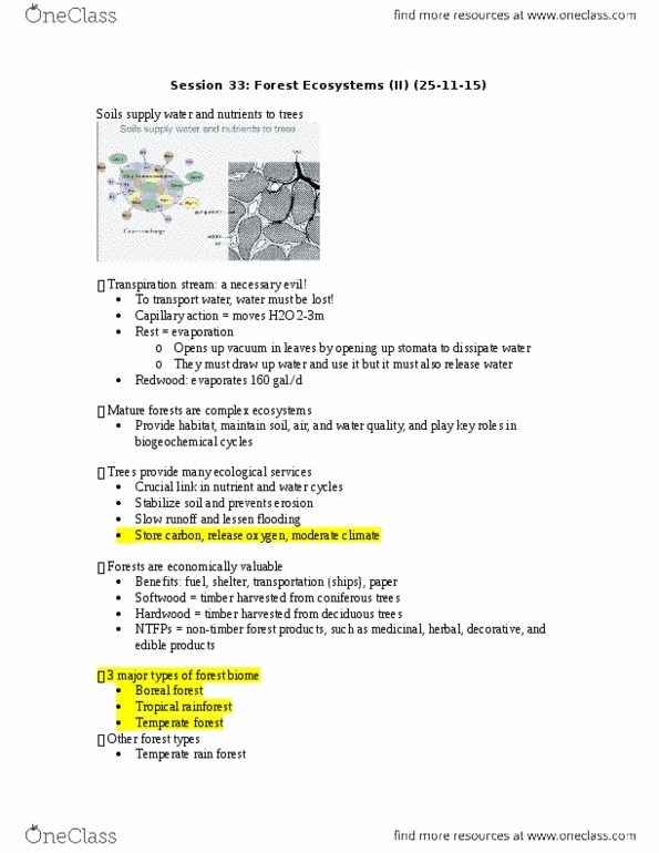 ENV100Y5 Lecture Notes - Lecture 33: Forest Ecology, Laterite, Biome thumbnail