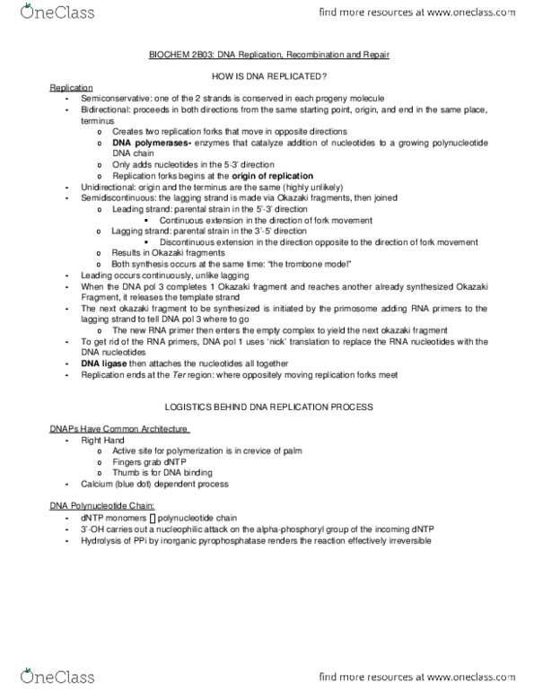 BIOCHEM 2B03 Chapter Notes - Chapter 2: Dna Gyrase, Dna Ligase, Processivity thumbnail