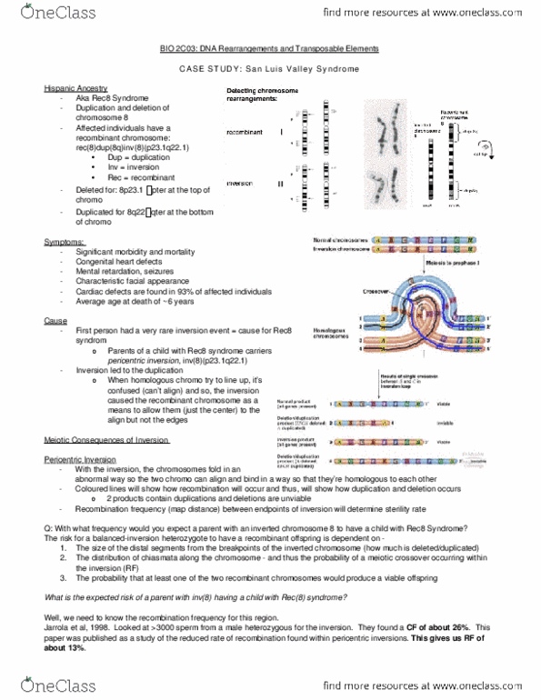 BIOLOGY 2C03 Lecture Notes - Lecture 9: Meiosis thumbnail