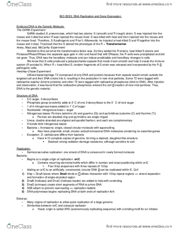 BIOLOGY 2EE3 Lecture Notes - Lecture 7: Dna Replication, Helicase, Dnab Helicase thumbnail