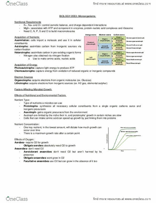 BIOLOGY 2EE3 Lecture Notes - Lecture 6: Autotroph, Heterotroph, Ribosomal Rna thumbnail