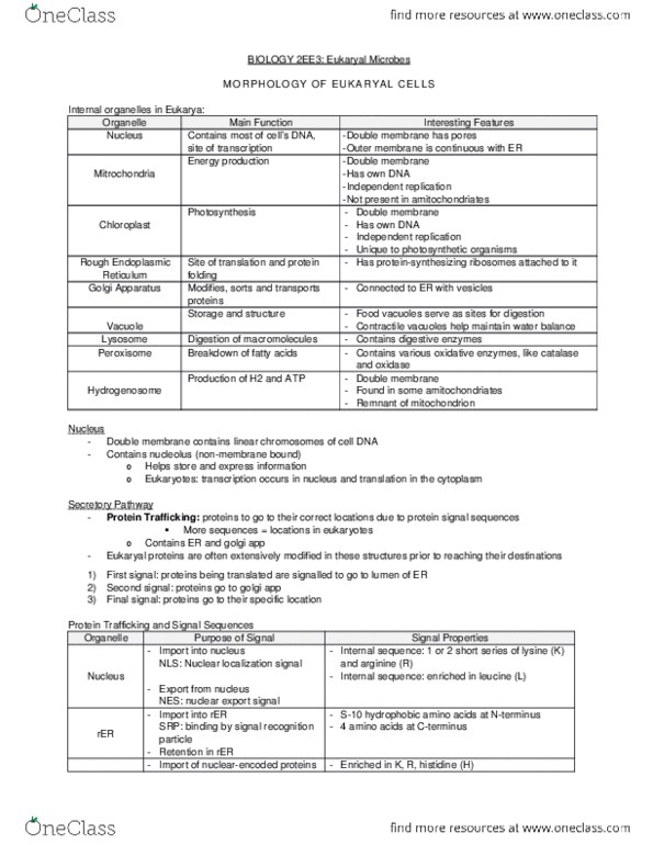 BIOLOGY 2EE3 Lecture Notes - Lecture 3: Eukaryote, Organelle, Ploidy thumbnail