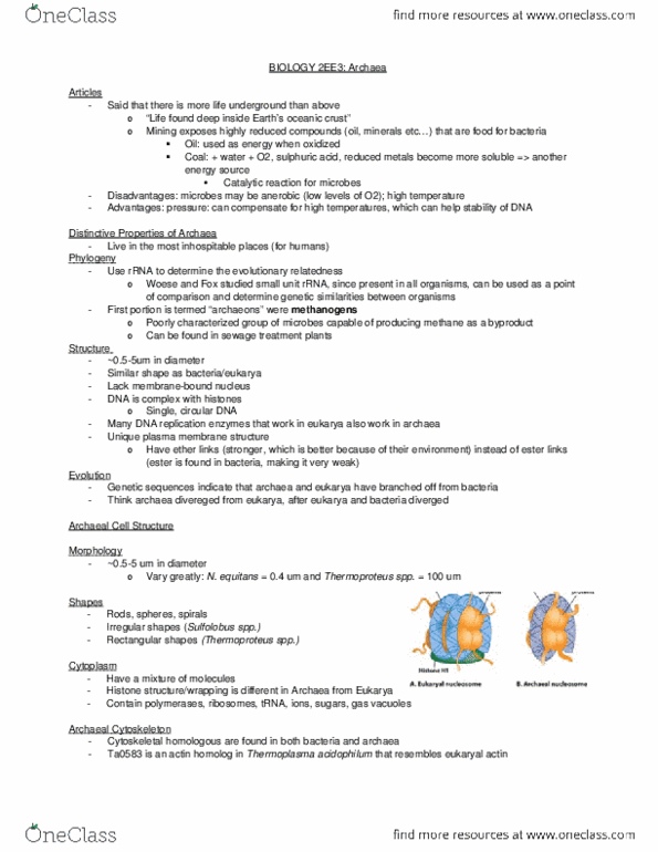 BIOLOGY 2EE3 Lecture Notes - Lecture 4: Nucleosome thumbnail