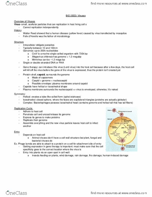 BIOLOGY 2EE3 Lecture Notes - Lecture 5: Prnp, Conformational Change thumbnail