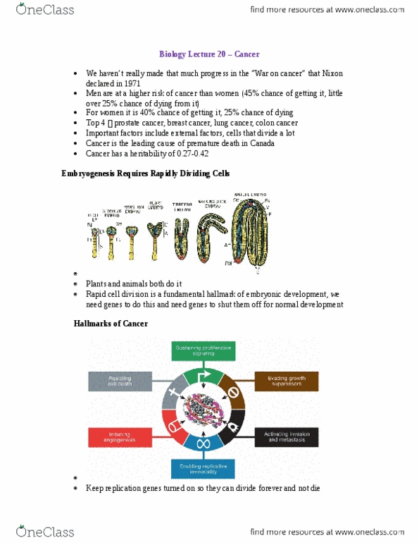 Biology 1002B Lecture Notes - Lecture 20: Dna Replication, Carcinoma, Angiogenesis thumbnail