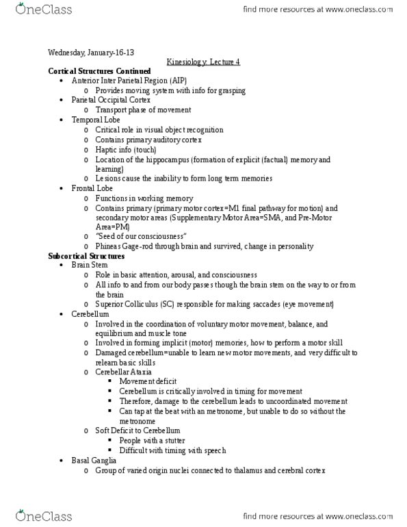 Kinesiology 1080A/B Lecture Notes - Lecture 4: Motor Skill, Striatum, Motor Cortex thumbnail