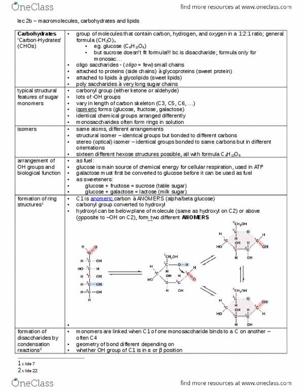 BIOL130 Lecture Notes - Lecture 2: Structural Isomer, Oligosaccharide, Glycolipid thumbnail