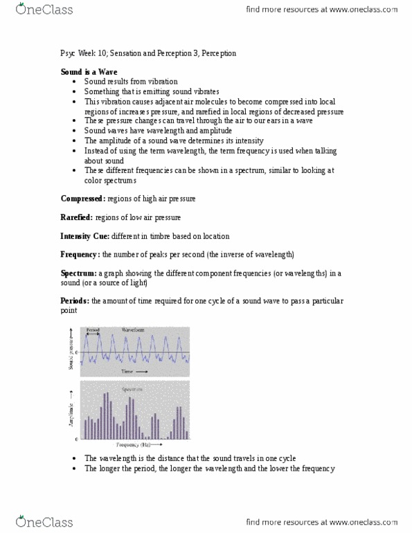 PSYC 100 Lecture Notes - Lecture 10: Sound, Basilar Membrane, Axon thumbnail