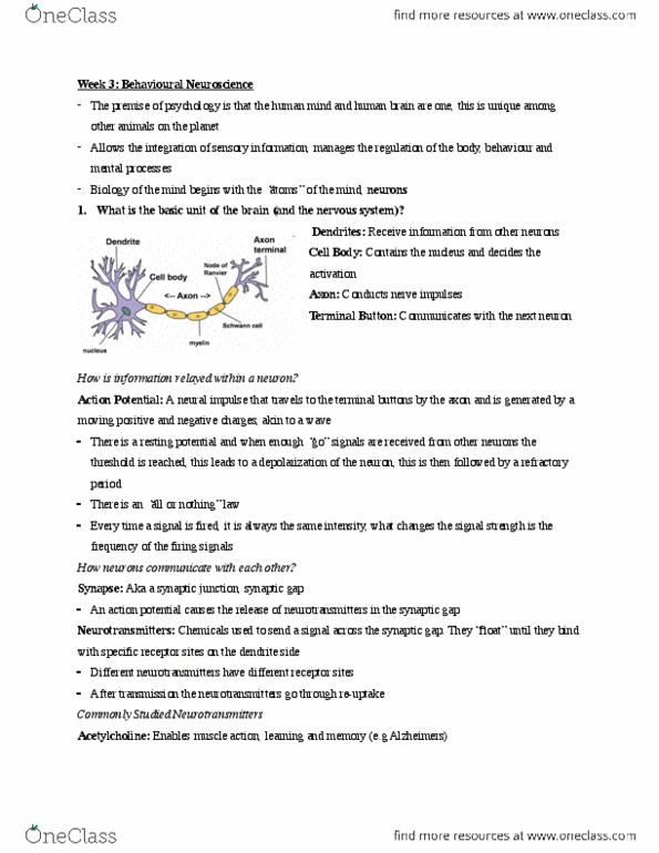 PSYC 1000 Lecture Notes - Lecture 3: Resting Potential, Action Potential, Reuptake thumbnail