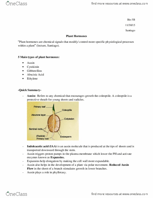 BIOL 005B Lecture Notes - Lecture 28: Plant Hormone, Coleoptile, Radicle thumbnail