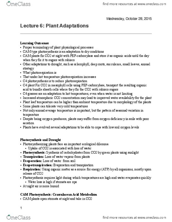 BIOL-2356EL Lecture Notes - Lecture 6: C4 Carbon Fixation, Photorespiration, Vascular Bundle thumbnail