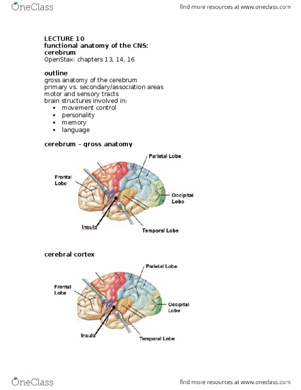 document preview image