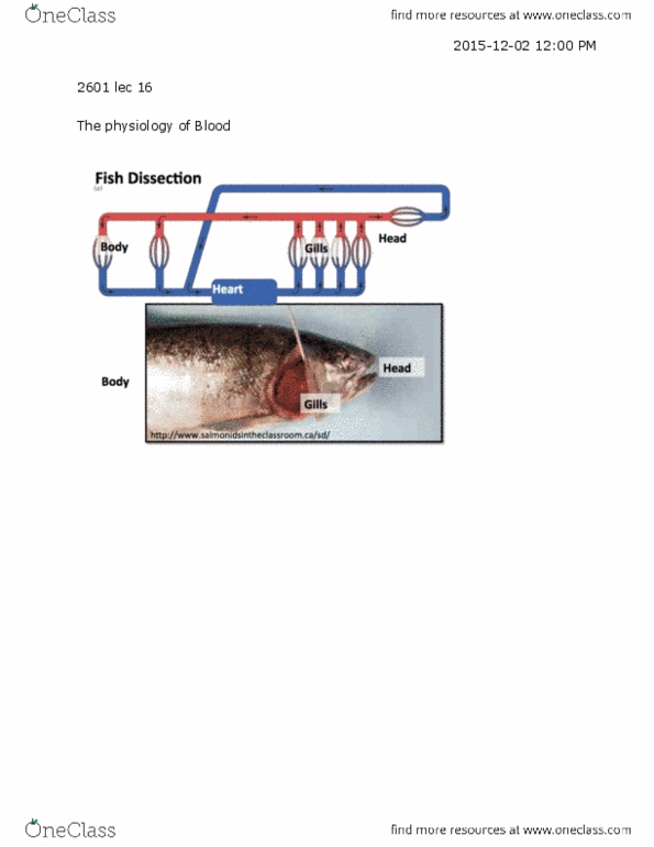 Biology 2601A/B Lecture 16: 2601 lec 16 - Physiology of Blood thumbnail