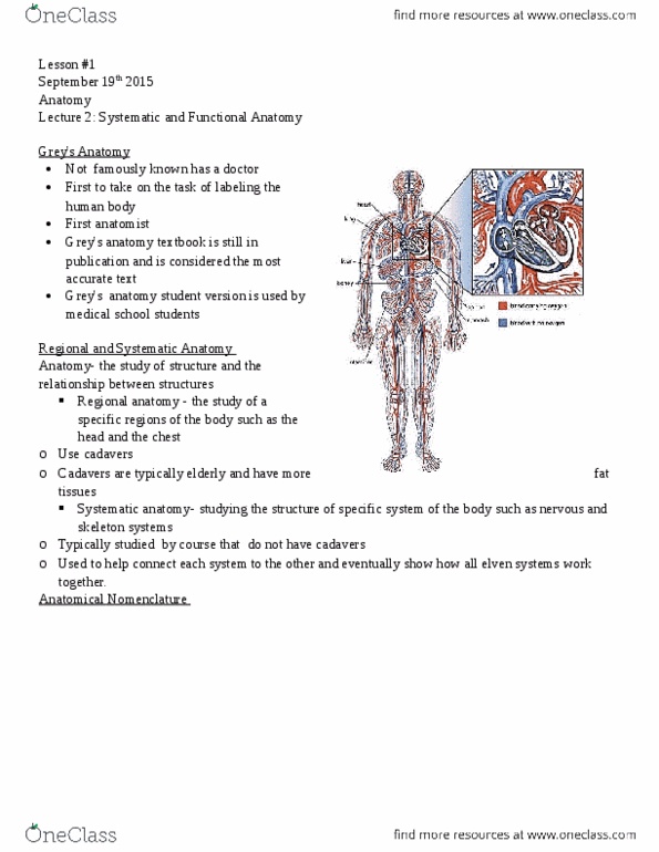 Health Sciences 2300A/B Lecture Notes - Lecture 3: Cricoid Cartilage, Epiglottis, Pericardium thumbnail