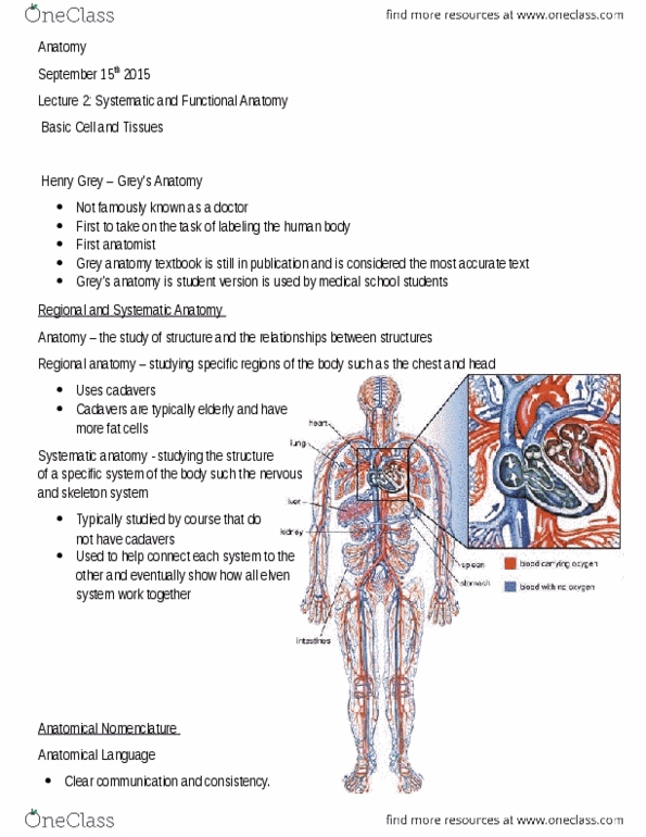 Health Sciences 2300A/B Lecture Notes - Lecture 1: Hyaline Cartilage, Costal Cartilage, Perineum thumbnail